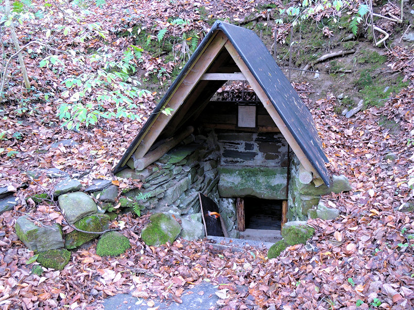 studánka U Hanzlova mlýna (12430)