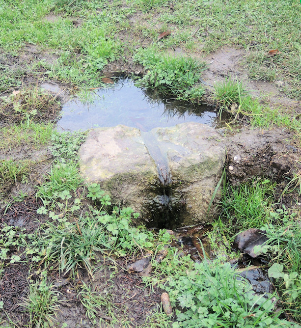 Kbelský pramen (12431)