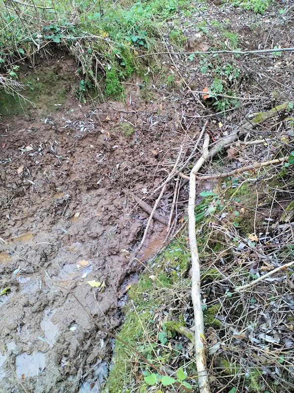 studánka U Hlubokých dvorů 1 (12432)