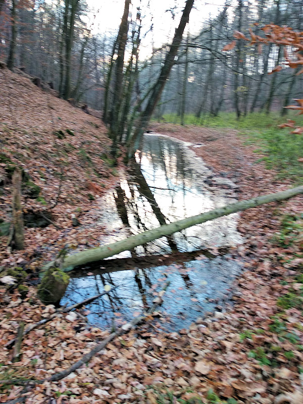 pramen bez jména (12434)