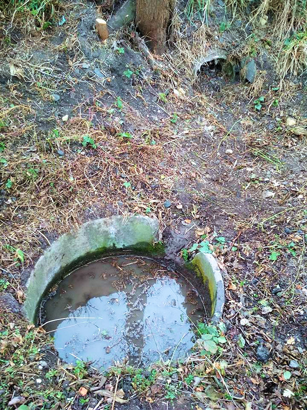 studánka Pod vinicí (12444)