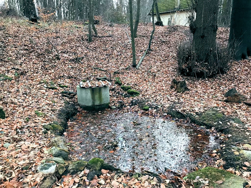 studánka V Drátěné (12445)