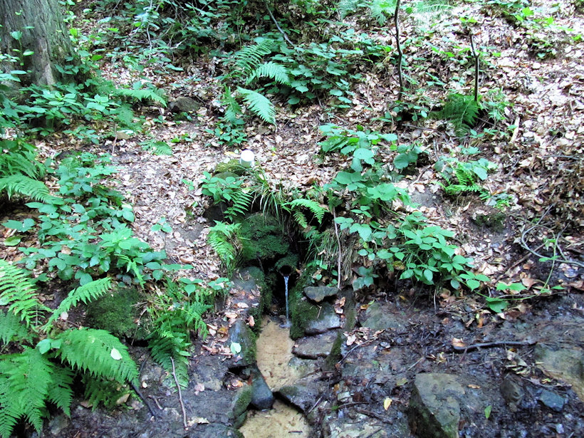 studánka Živá voda (12455)