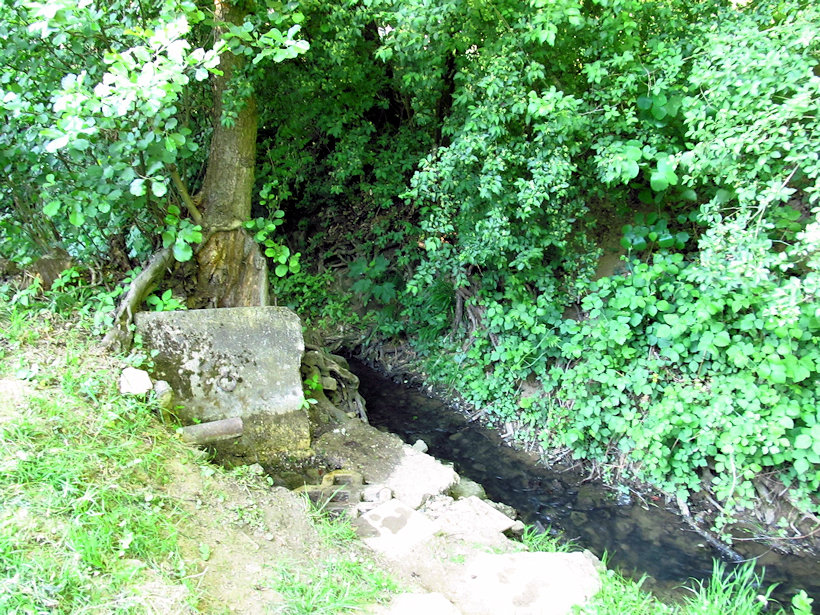 studánka U koupaliště Riviera (12466)
