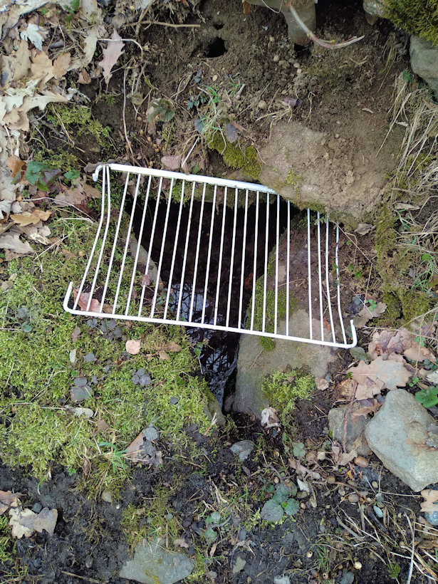 studánka bez jména (12467)