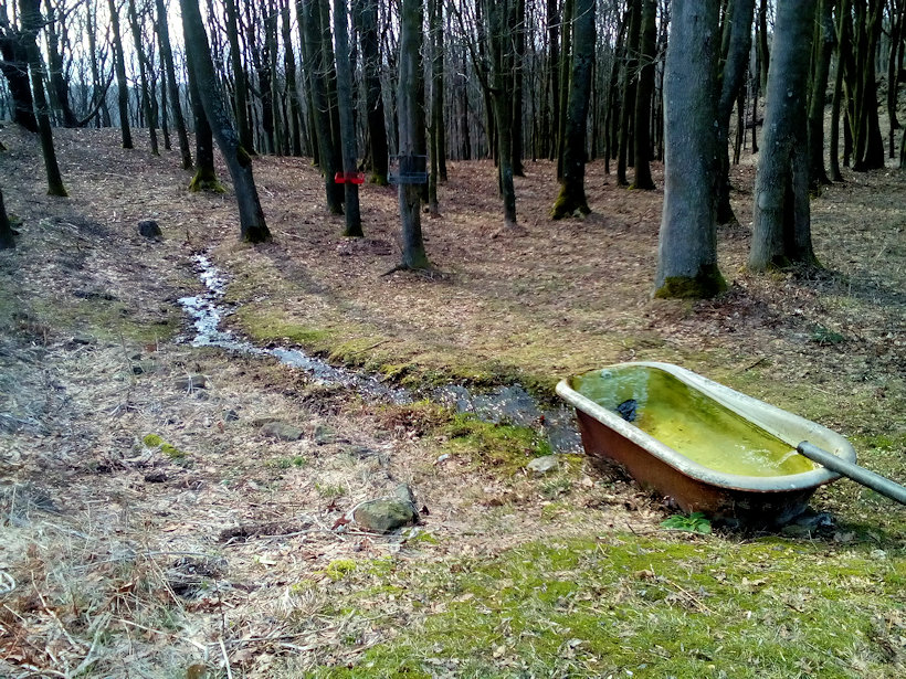 studánka U Třešňovky (12470)