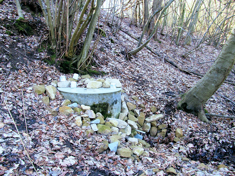 Trvajova studánka (12473)