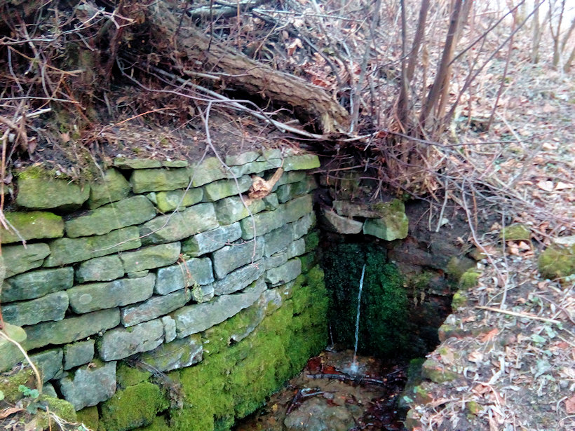 studánka Cikánka (12479)