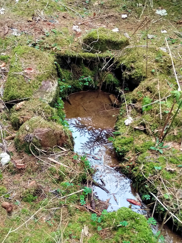 studánka bez jména (12488)