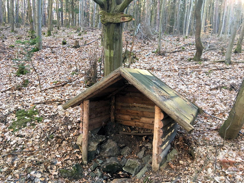 Ještěrčí studánka (12494)