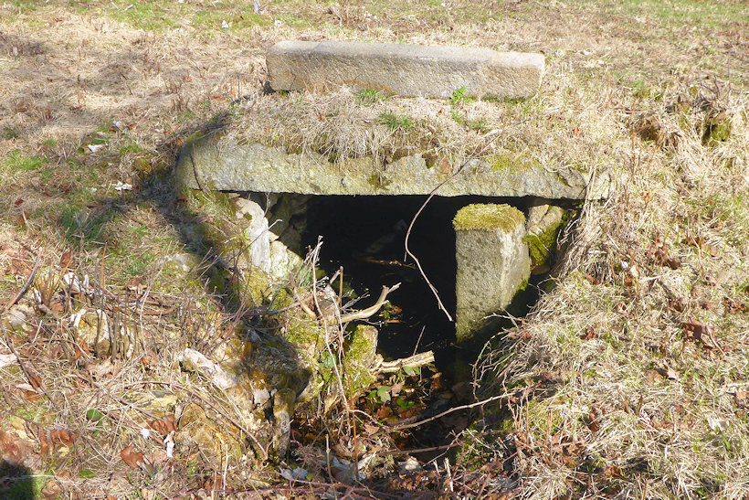 studánka bez jména (12504)