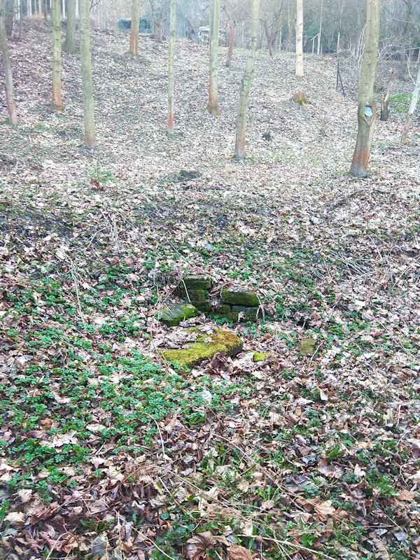 Lázeňská studánka (12513)