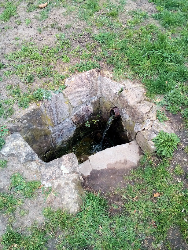 Kneippova studánka (12516)