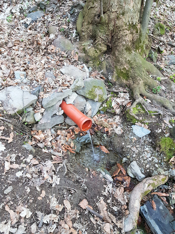 Žábí studánka (12521)
