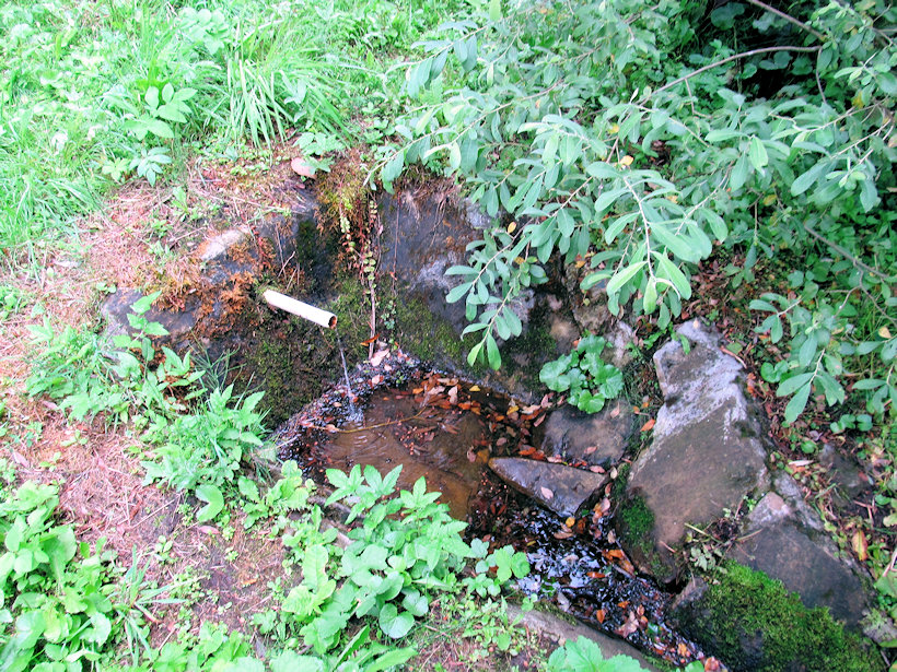 studánka U dvou vrb (12525)