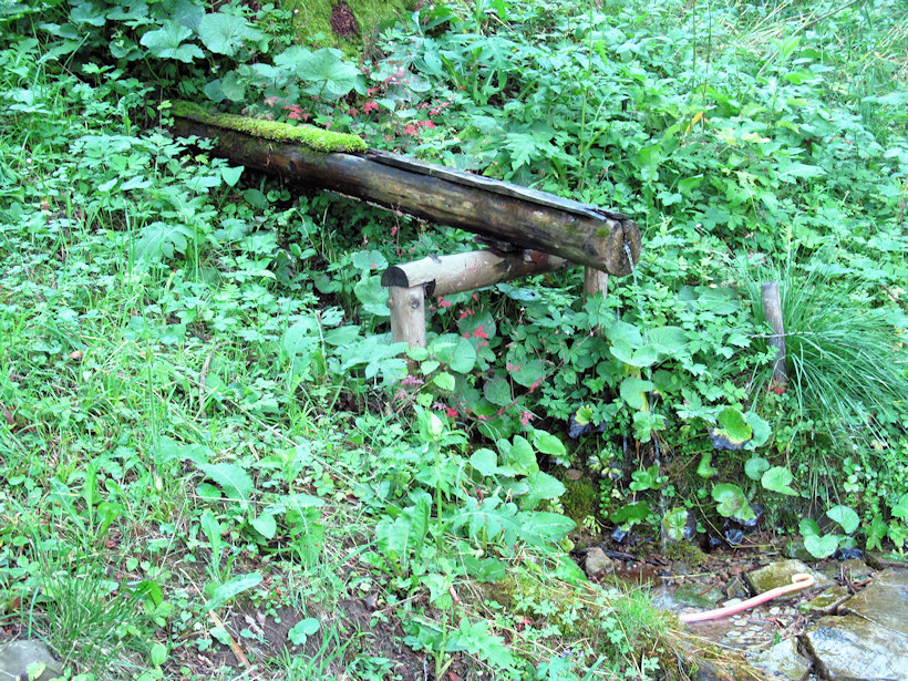 studánka Nad starou školou (12527)
