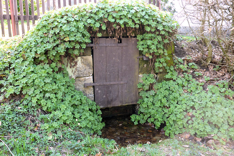 studánka bez jména (12536)