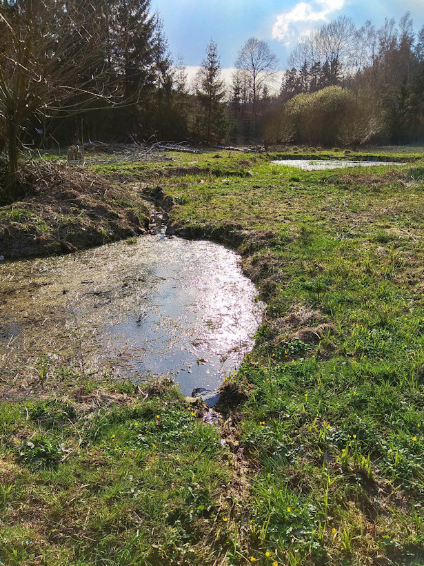 prameniště Nad rybníčky (12547)