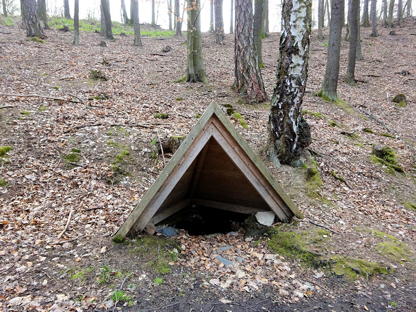 studánka bez jména (12556)