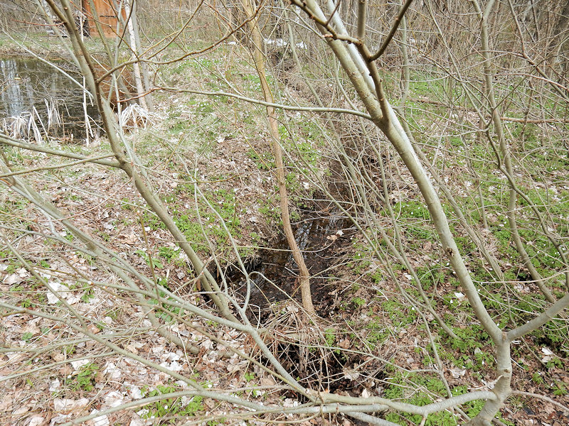 pramen Nad rybníčkem (12561)