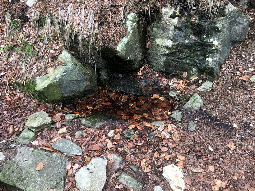 Břidličná studánka (12573)