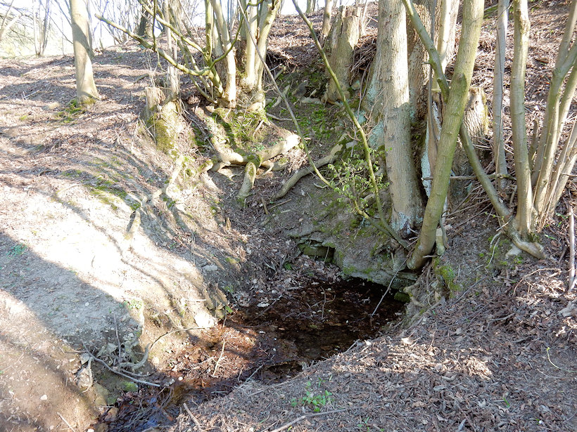 Kovářova studánka (12574)