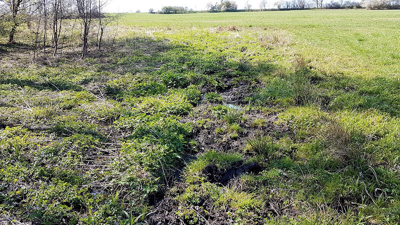 prameniště bez jména (12589)