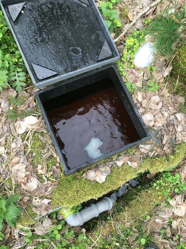 studánka Sloní pramen (12596)