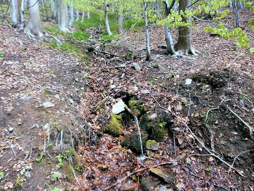 studánka bez jména (12600)