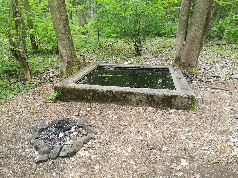 pramen Svatý vrch (12604)