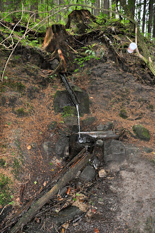studánka Pod hradem (12605)