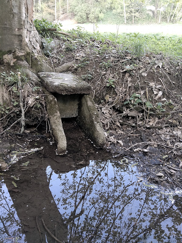 studánka Pod Florianem (12607)
