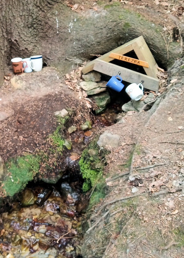 studánka Terezka (12626)