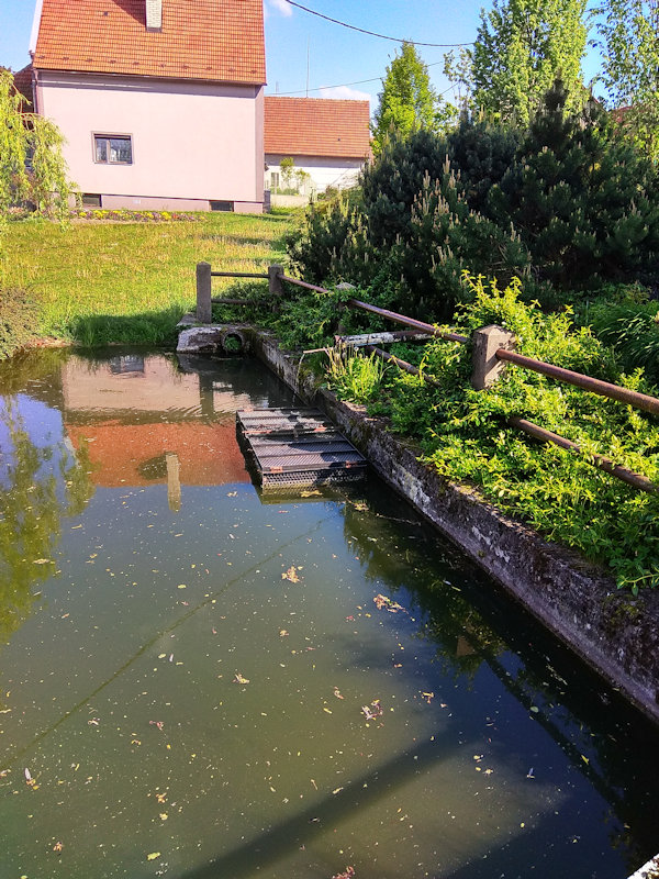 pramen Nad rybníčkem (12629)