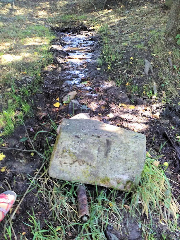 Studánka nad řekou (12630)