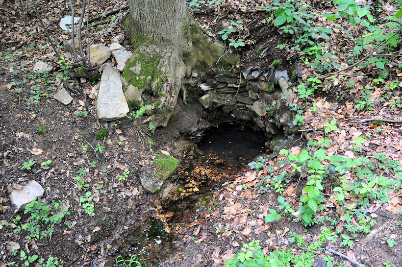 Bernardovská studánka (12635)