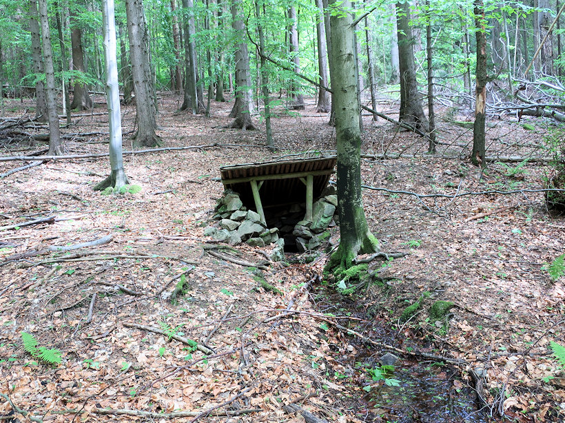 studánka V Polomi (12644)