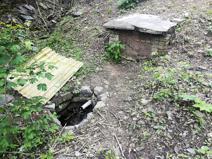 studánka Klecanský háj (12653)