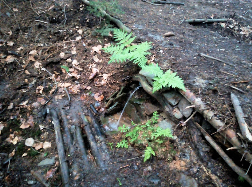 Buková studánka  (12655)