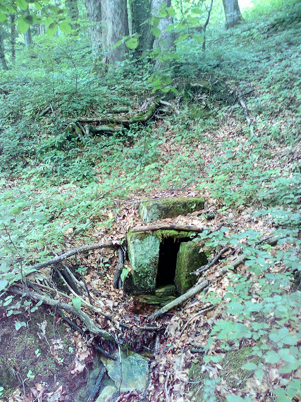 studánka Nad myslivnou (12665)