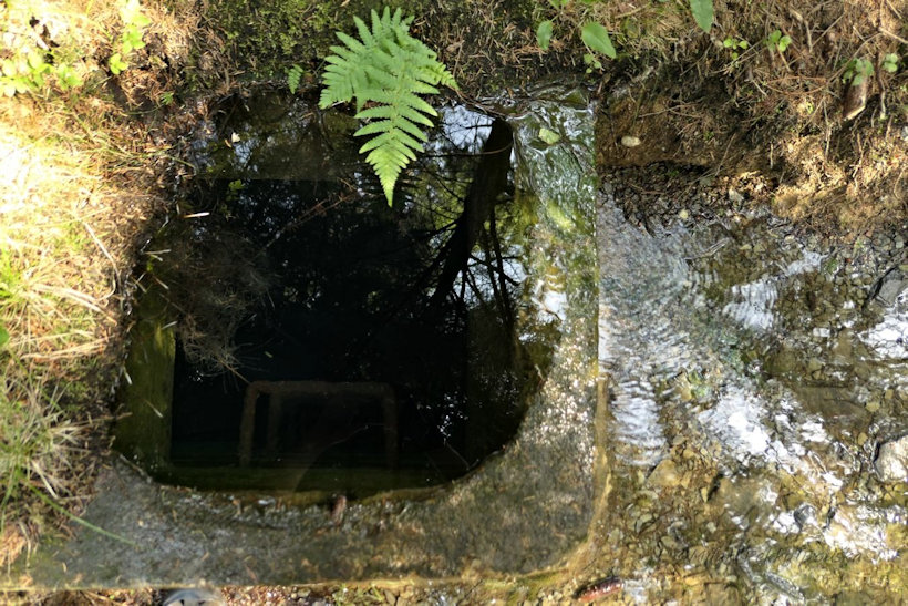 studánka bez jména (12692)
