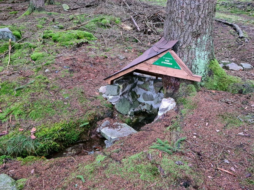 studánka Pod stromem (12699)
