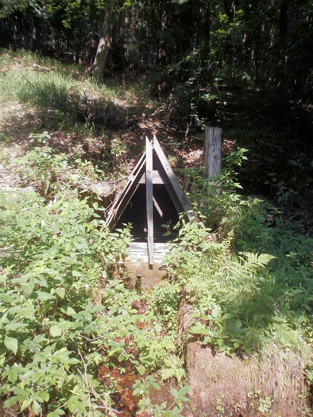 studánka bez jména (12702)
