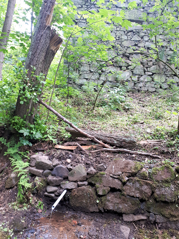 Mlýnský pramen (12715)