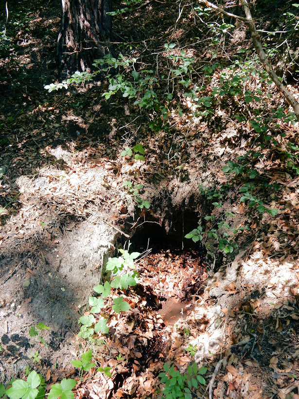 studánka Haberka (12728)