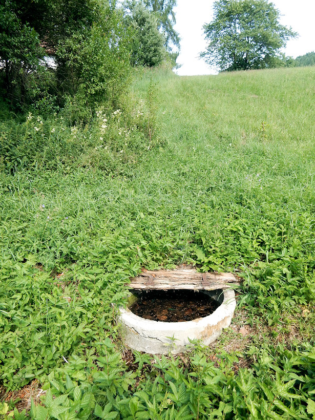 studánka U silnice (12733)