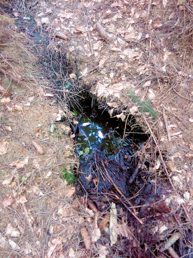 prameniště Motyczonka (12739)