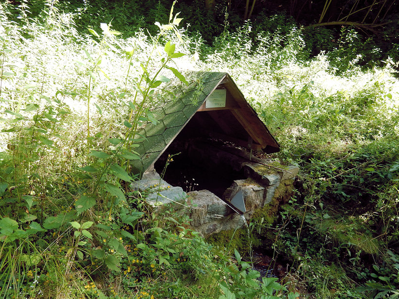 studánka Nad Bláhovým (12753)