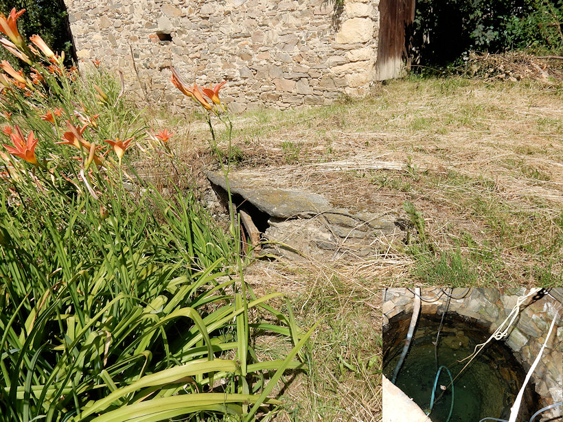 Studenecká studánka (12754)
