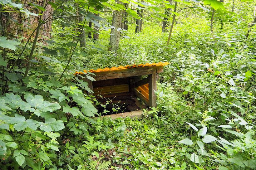 studánka Smrčí (12761)